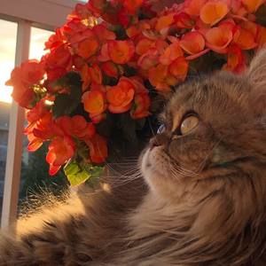 Meet your Posher, Johanne